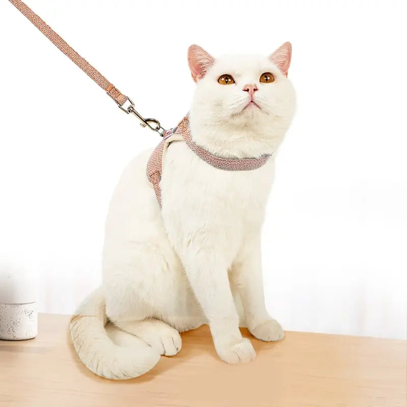 Comfy Paws Pet Harness Leash