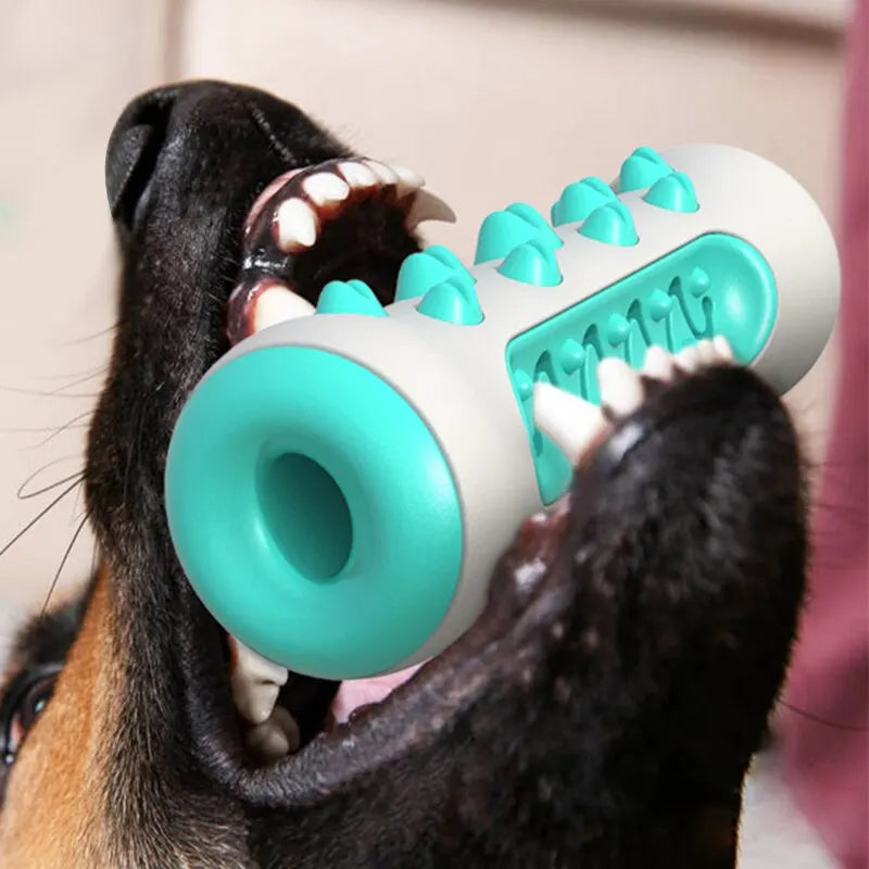 Clean Canine Teething Toy