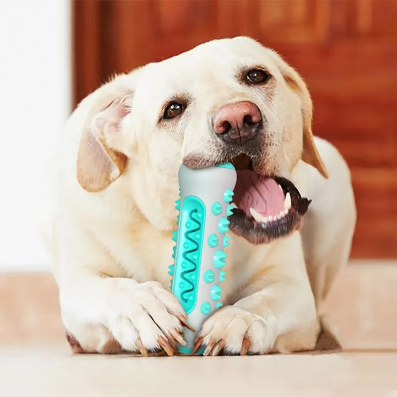 Clean Canine Teething Toy