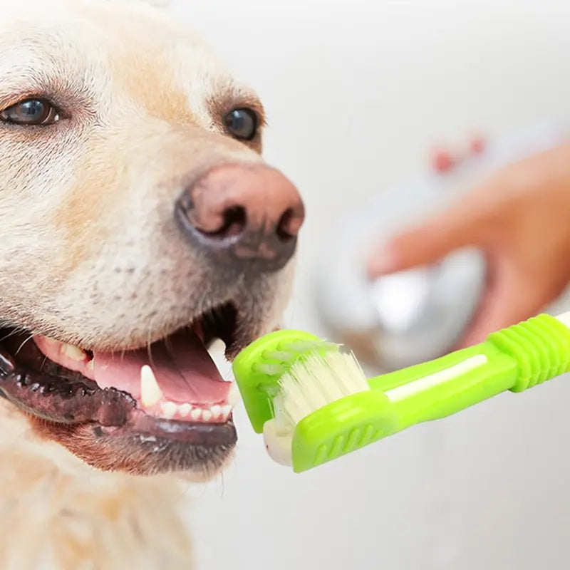 TriAngle Toothbrush for Pets