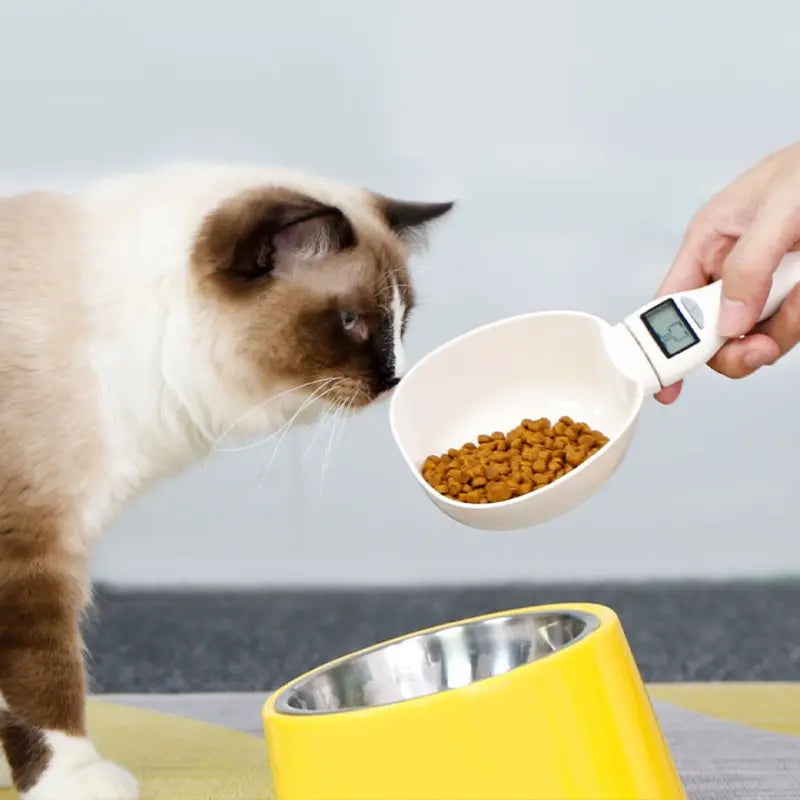 Pawfect Portions Electronic Food Scale