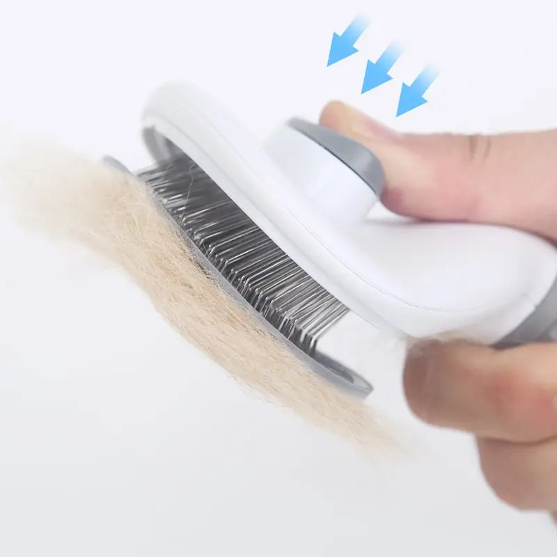 Push Brush Hair Remover