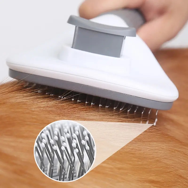 Push Brush Hair Remover