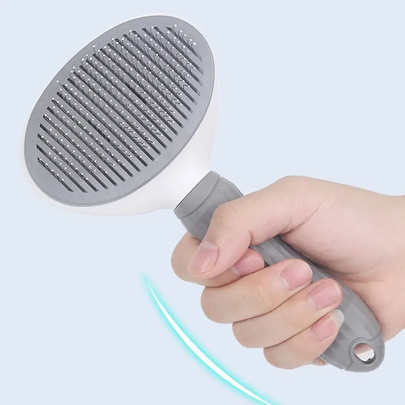 Push Brush Hair Remover