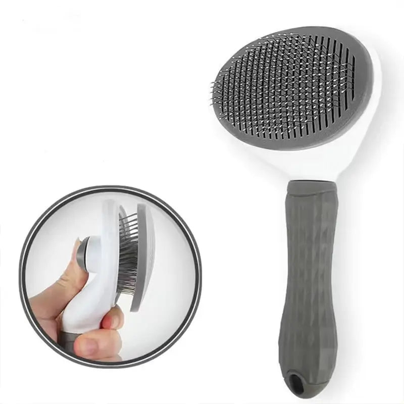 Push Brush Hair Remover